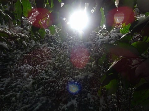 DSC03754