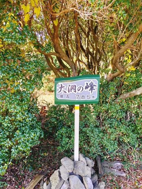IMG20211120100930
