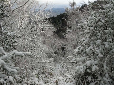 DSC03760
