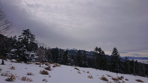 DSC_2156