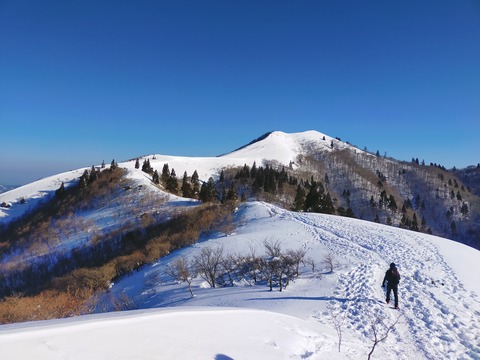 IMG20220110091545