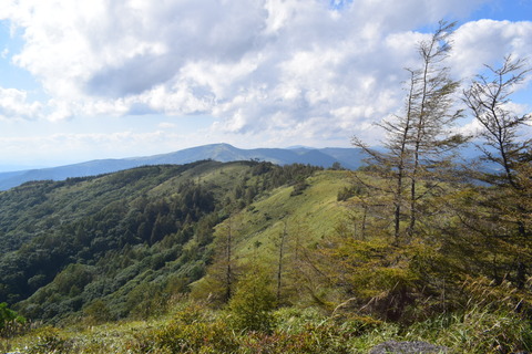DSC_1023
