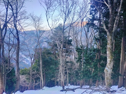 IMG20220110072809
