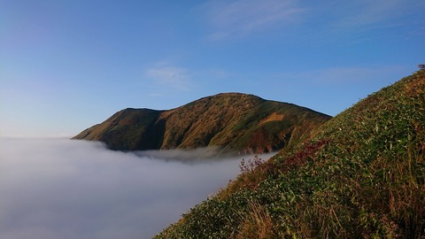 DSC_5944