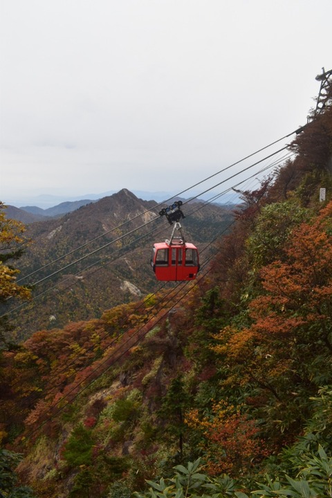 line_1117276614555432