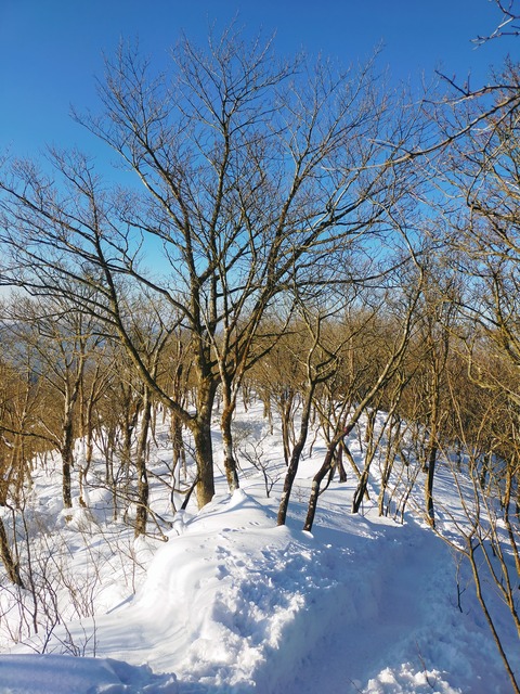 IMG20220110084837