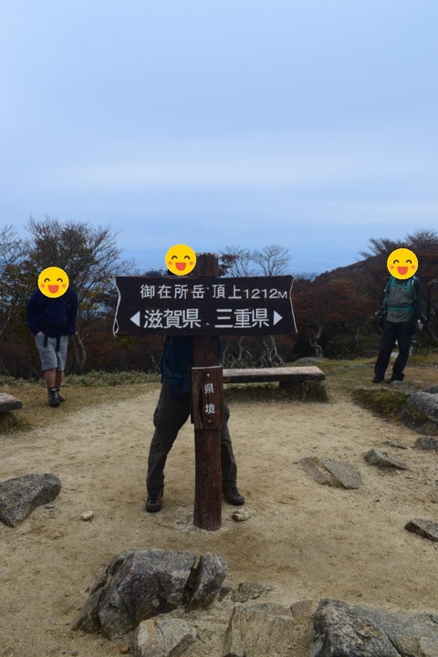 line_1117315512255678