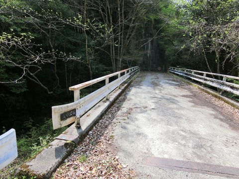 CIMG2982