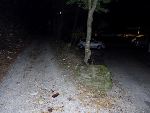 R0010003