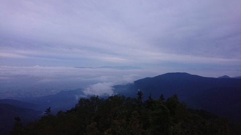 DSC_3720
