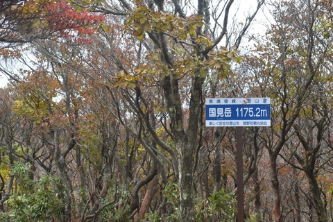 line_1117369656110501