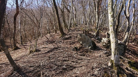DSC_5180