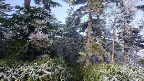 DSC_6062