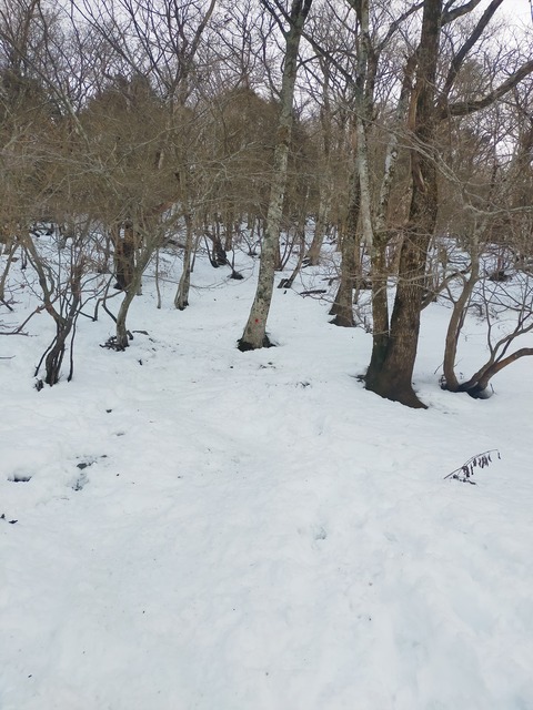 IMG20220110075031