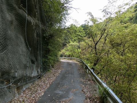 CIMG2981