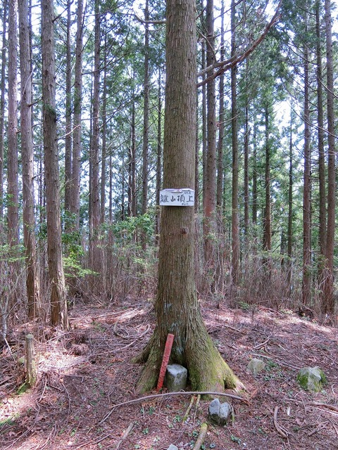 CIMG2989