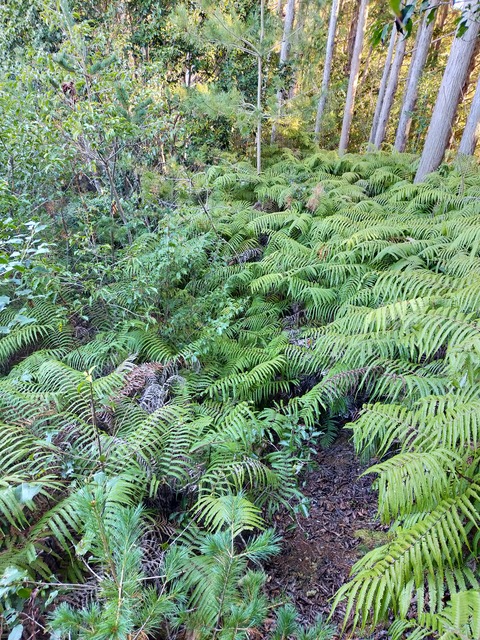 IMG20201207083908
