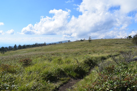 DSC_1016