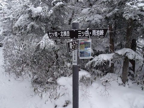 DSC03704
