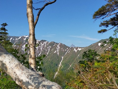 IMG20210621063212