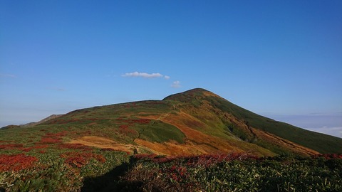 DSC_5952