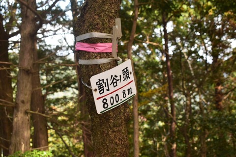 line_1117423649540688
