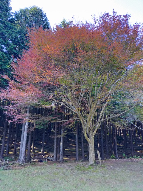 IMG20211120135126