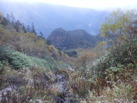 R0010015