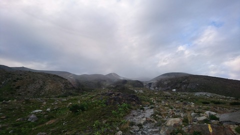 DSC_2320