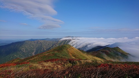 DSC_5971