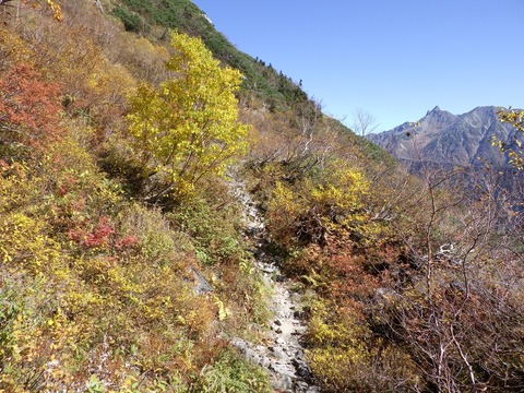 R0010066