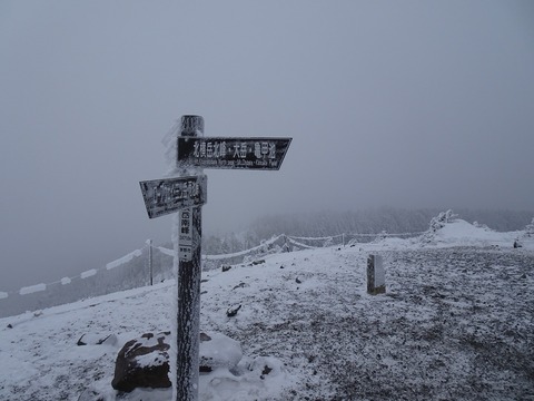 DSC03706