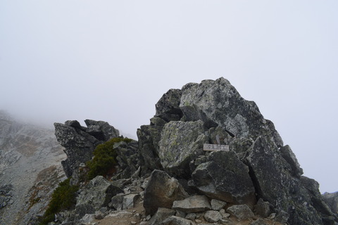 DSC_0410