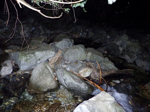 R0010005