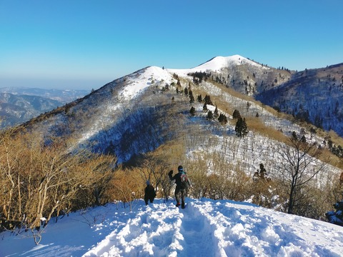 IMG20220110085837