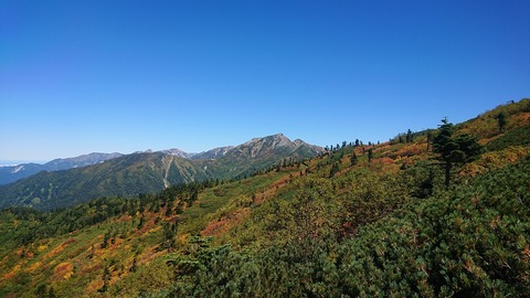 DSC_5883