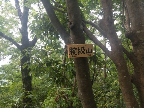 IMG_20200606_080018
