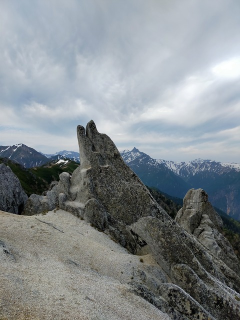 IMG20210621080814