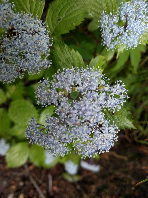 IMG_20200620_090156