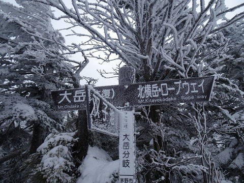DSC03713