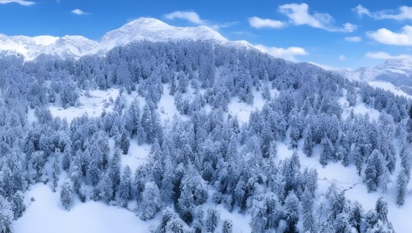 【雪山】スコップってみんな持ってますか？