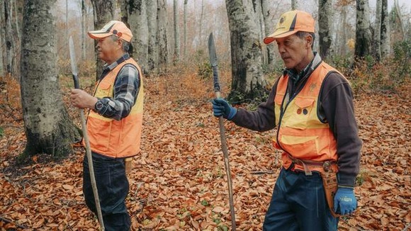 日本の「クマ被害」をニューヨーク・タイムズが一面で大きく報道