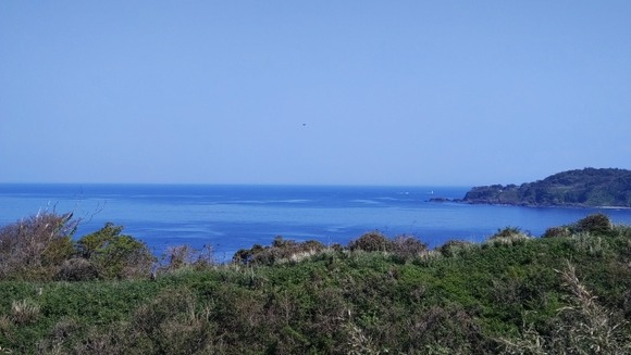 【輪島市】地震で４メートル隆起…海岸線が大きく変わってしまう