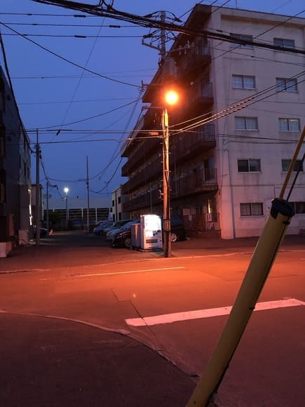 【画像】すずしいから散歩する