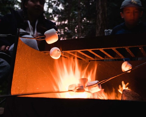 camping (1)