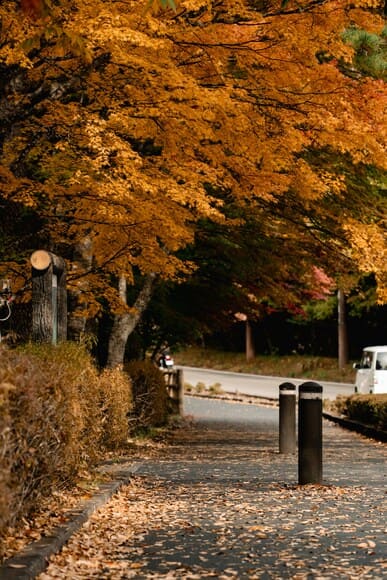 1人旅行しまくってるけど虚しさが残る