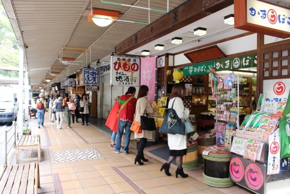 トッモ「箱根旅行にいこうぜ！」 ワイ「ええな！！ロマンスカーでゴーや！」