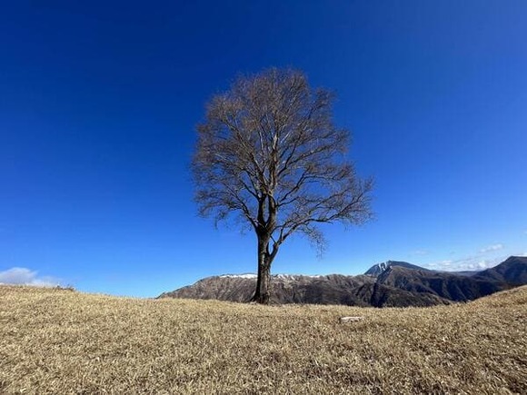 【なんJハイキング部】山に登って来たから画像貼るで