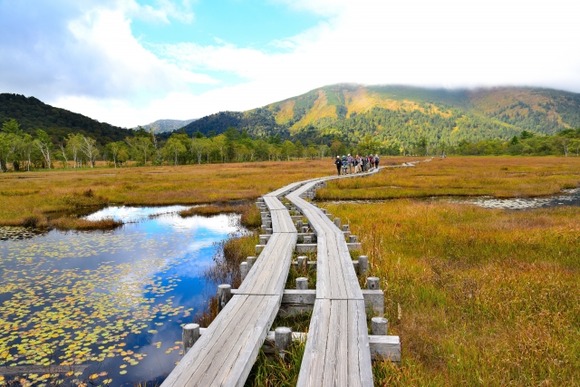 10年後には尾瀬の歩荷も居なくなって山小屋も閉まっていって登山道も荒れ放題になりそう