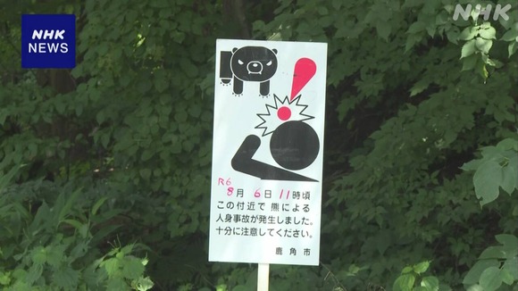 【秋田】木の上からクマ！草刈り作業中の50代の男性が襲われけが　鹿角市八幡平